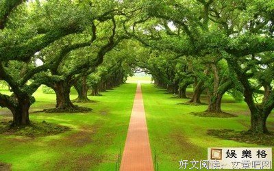 15条关于尖刻的经典语句