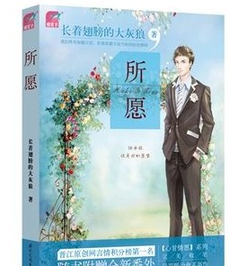 2017长着翅膀的大灰狼经典语录