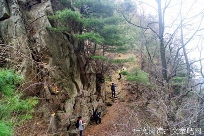 2017青慕名言名句