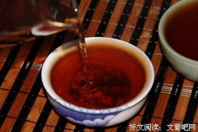 关于朴子的格言