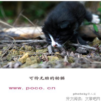 关于无助的语句