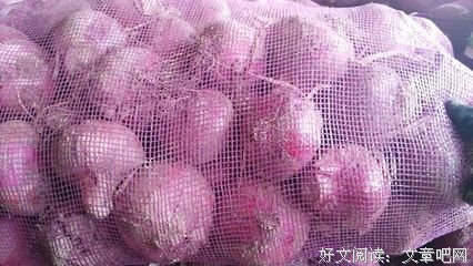 四川凉山洋葱大规模滞销 农户搅碎作物水淹田地 | 中国人的一天
