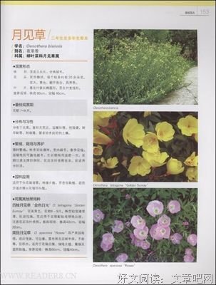 d设计之旅：京都读后感精选10篇