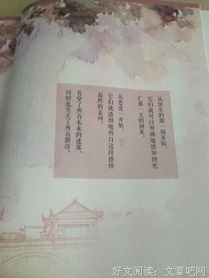 《想幸福的人》经典观后感10篇
