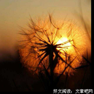 &quot; 生活不易，你必须非常努力 &quot;