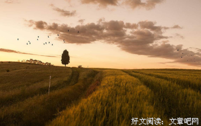 彼得·潘的句子