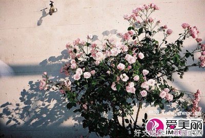 你是什么样的人，就会嫁给什么样的人