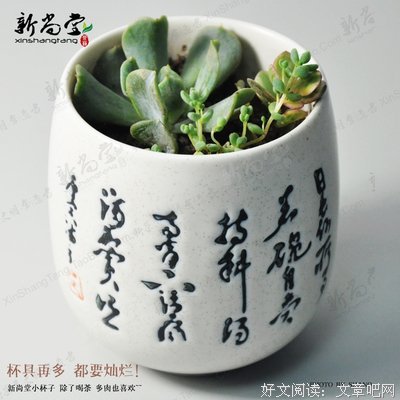 关于唐伯虎的语句