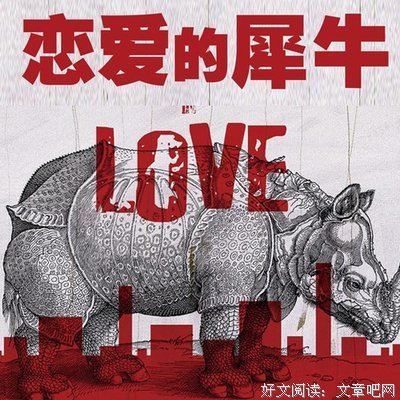 《恋爱的犀牛》佳句摘抄