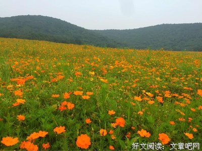 所谓心灵之旅，最终就是发朋友圈