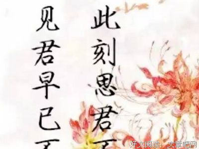 最全的《原谅我红尘颠倒》小说句子大全