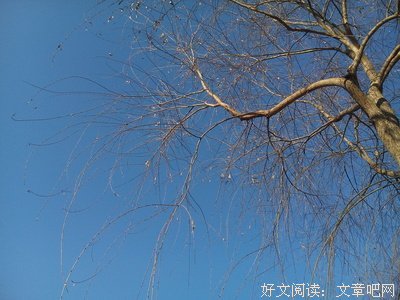 【我的生活】平凡之美，才是真正的美