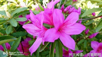 岁月没有隔夜脸