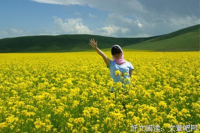 我往何处去读后感10篇