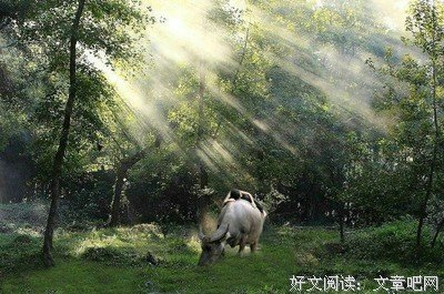 《骚人》的观后感10篇