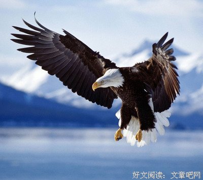 最经典的蔚蓝名言名句