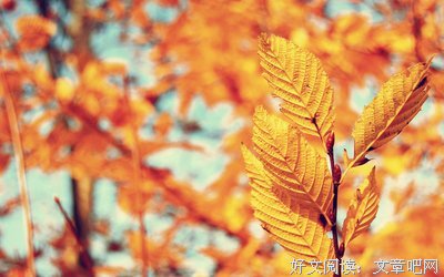 最全的《世界需要更好的你》语录摘抄