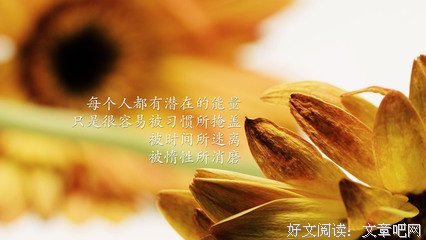 最经典的《无间道》小说句子