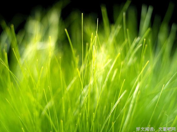 《生命要浪费在美好的事物上》经典名句