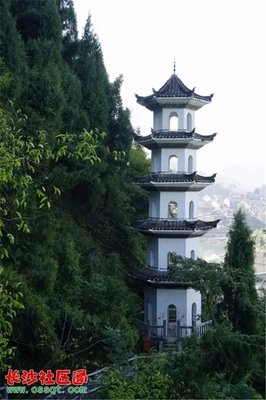沈从文：我一哭了，便心中十分温柔。