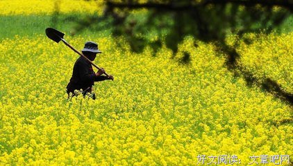 关于许岁月名言名句