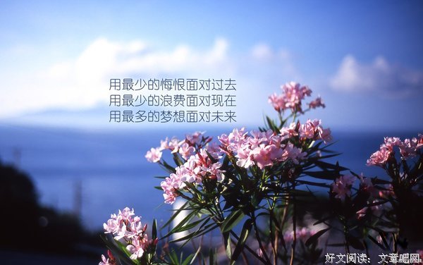 最经典的习乙名言大全