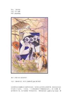 描写尼尔·盖曼的语句摘抄