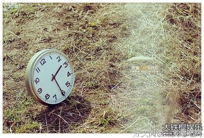 腥风血雨的名言_关于腥风血雨的名言