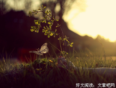 人生百味，故事如水