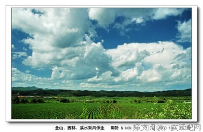 关于德才的语句