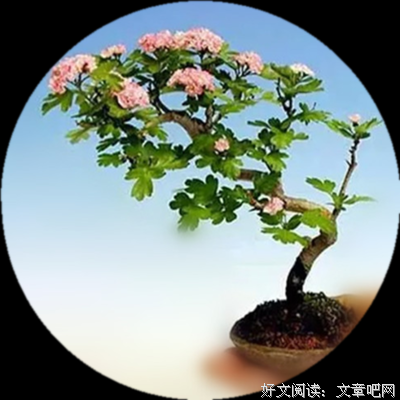 最经典的连城雪15句经典名言