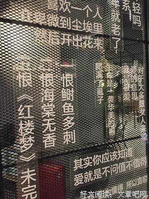 《因为懂得，所以慈悲》经典名句