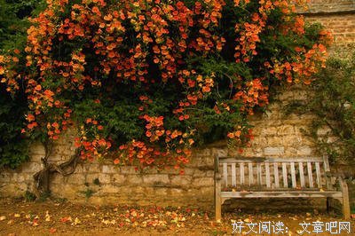 关于巴特勒的格言