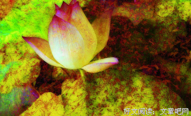 人生无法重来，每一步都要慎重...