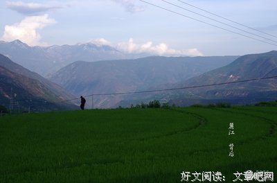 消失的地平线读后感10篇