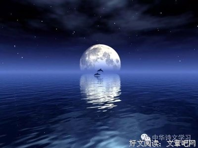 天涯共此时的名句_关于天涯共此时的名句
