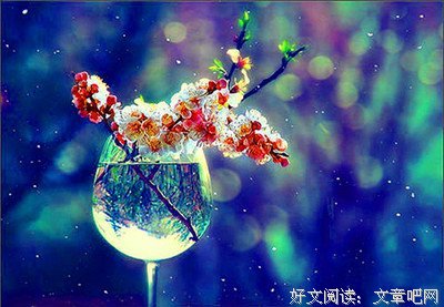 最新的《尘缘》好段摘抄大全