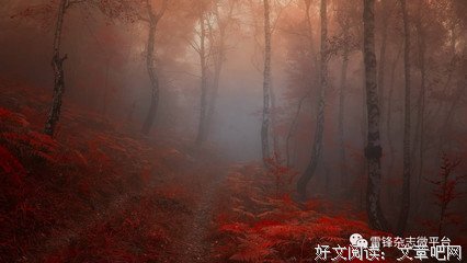 强健的名言_关于强健的名言