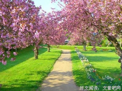 最全的《何引忘川》语录摘抄大全