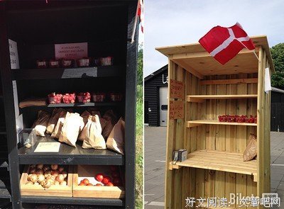 南德·冯·席拉赫的名言_关于南德·冯·席拉赫的名言