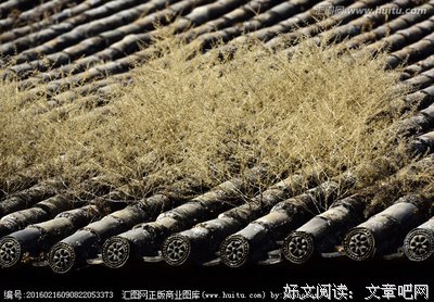 跟小约翰一起读罗马书21 | 造就而不是毁坏上帝的工程（罗14章之二