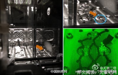 把菜种到全宇宙，是中国人的特殊天赋