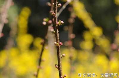 《阳坡泉下》读后感精选10篇
