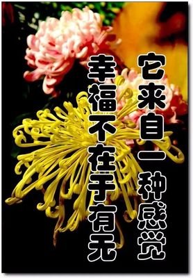 @群友，※六一群相册※，美极了