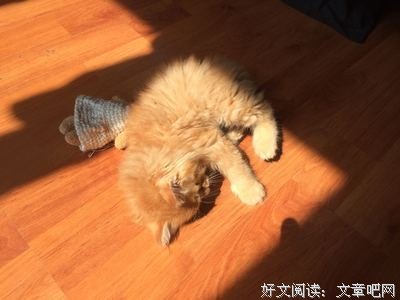 相爱到这个阶段，90%的人都在分手