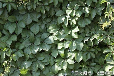 战国九局读后感精选10篇