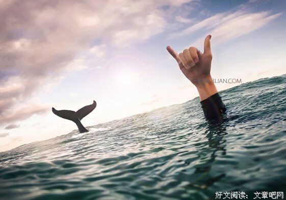 转来转去的名言_关于转来转去的名言