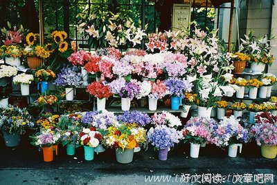 最全的马甲乃浮云经典语录