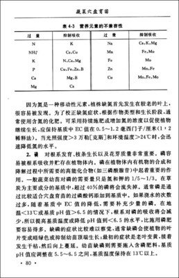 《蔬菜之神》经典读后感10篇