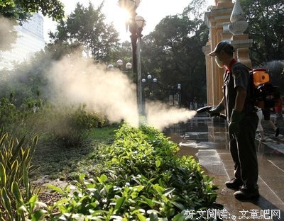 《市长之死》经典观后感集